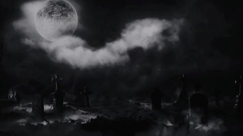 Discovery splash banner for Cozy trading 🦃 Discord server