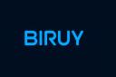Discovery splash banner for B I R U Y Discord server