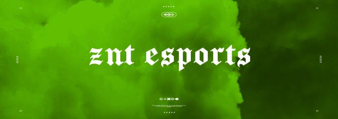 Discovery splash banner for ZNT-ESPORTS™ Discord server