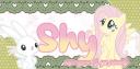 Discovery splash banner for ♡ 　　﹒ 　　shy　۫　　◞ Discord server
