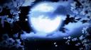 Discovery splash banner for 𝐍𝐠𝐮𝐲ệ𝐭 𝐓𝐡ủ𝐲 𝐋â𝐮 Discord server