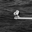 Discovery splash banner for Kaatupoochi - Tamil Discord server