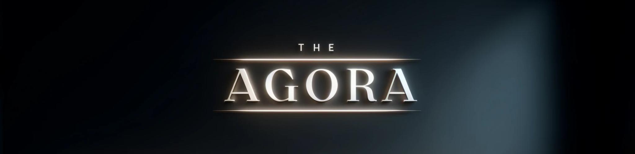 Discovery splash banner for The Agora Discord server