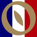 Discovery splash banner for Fellowship France Discord server