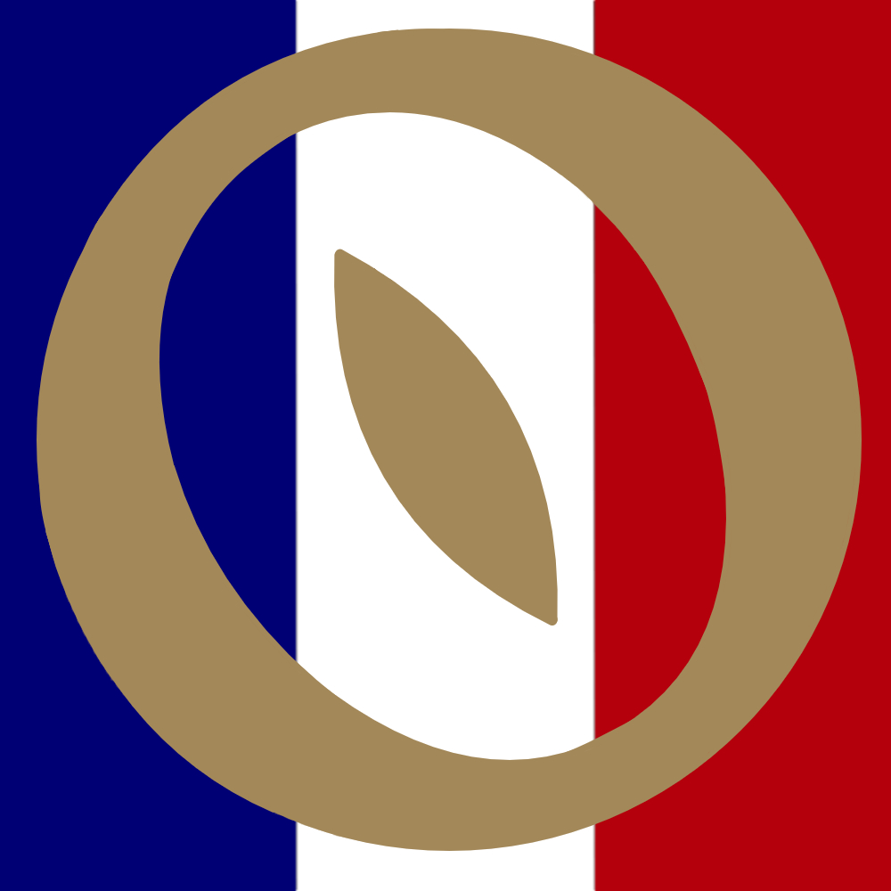 Discovery splash banner for Fellowship France Discord server