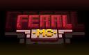 Discovery splash banner for Feral MC「Public」 Discord server