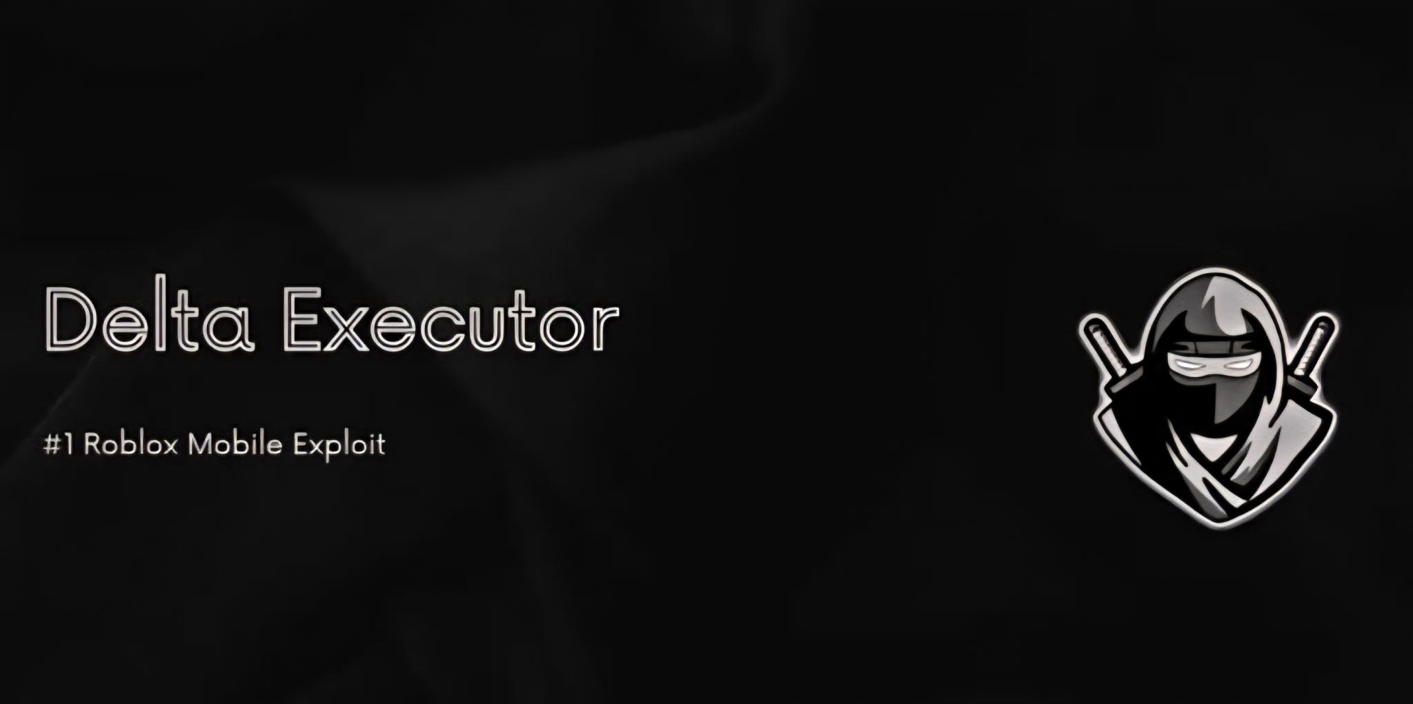 Discovery splash banner for Delta Executor Support Discord server