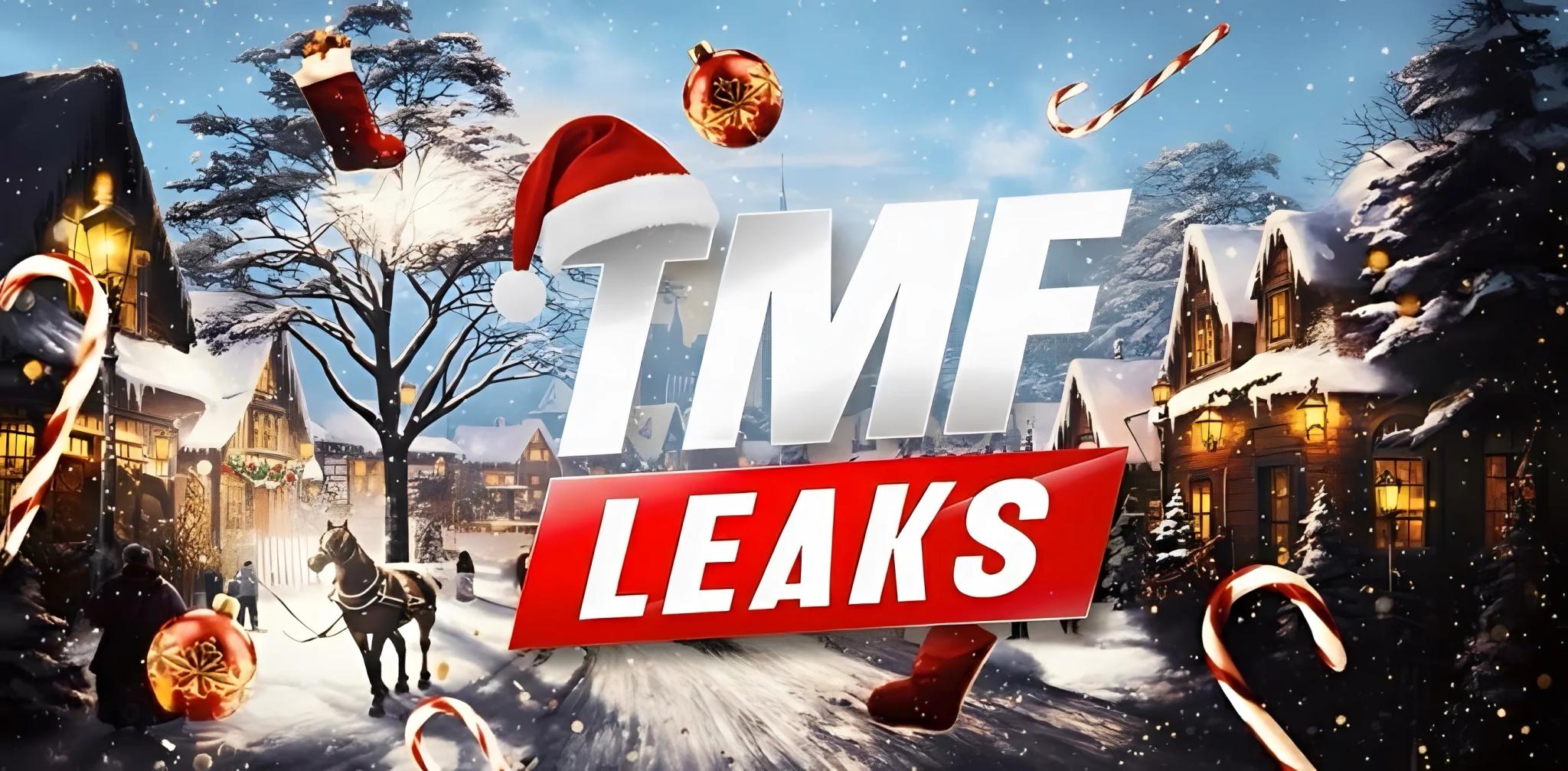 Discovery splash banner for TMF LEAKS Discord server