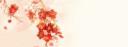 Discovery splash banner for ◞♡ 。 花怜 ﹒ ╱forᥱvᧉr ყoᥙrs ﹒ hualian tag 𑁭𐑼。 #dj2l .ू𑣩𑣨 Discord server