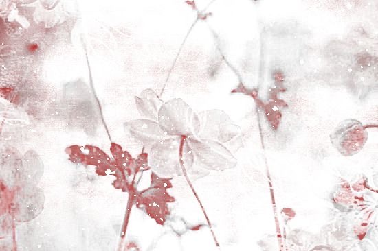 Discovery splash banner for ⊹ ࣪ ˖ ﹒ ╱forever yours ﹒ 花怜 hualian tag 𓏵 #dj2l Discord server