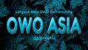 Discovery splash banner for OwO ASIA | .gg/owoasia Discord server
