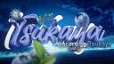 Discovery splash banner for 𝘛𝘴𝘶𝘬𝘢𝘺𝘢 🌒 Discord server