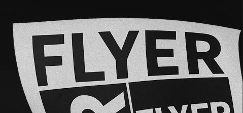 Discovery splash banner for FLYER Discord server