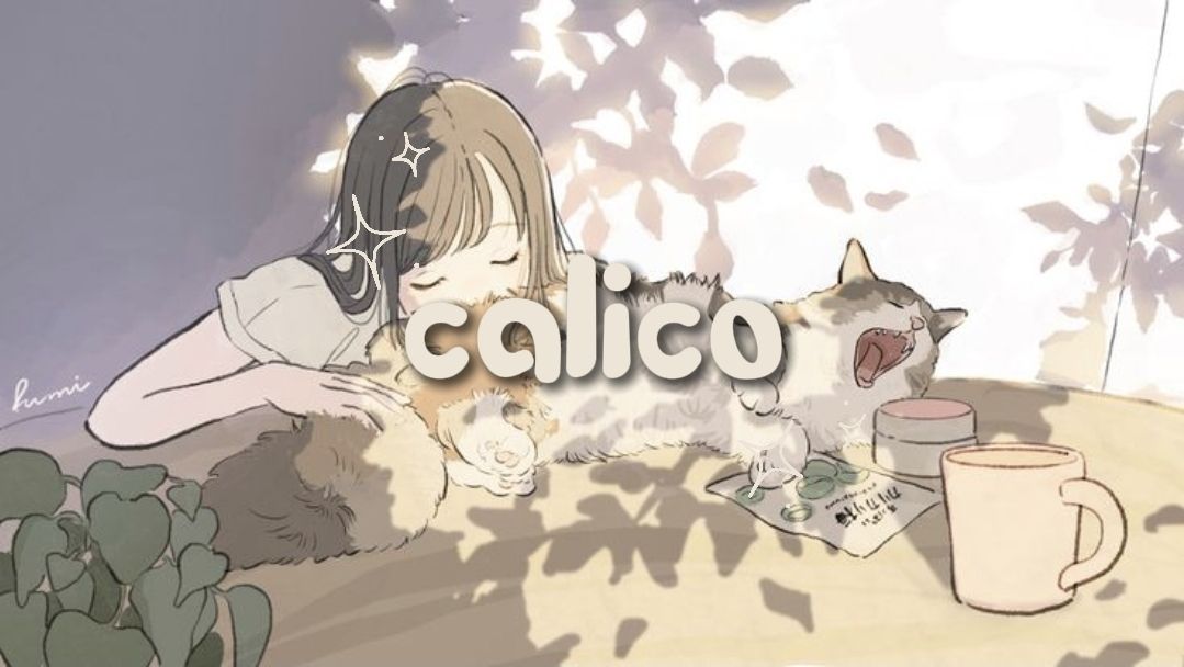 Discovery splash banner for calico ๐พ .แโ Discord server