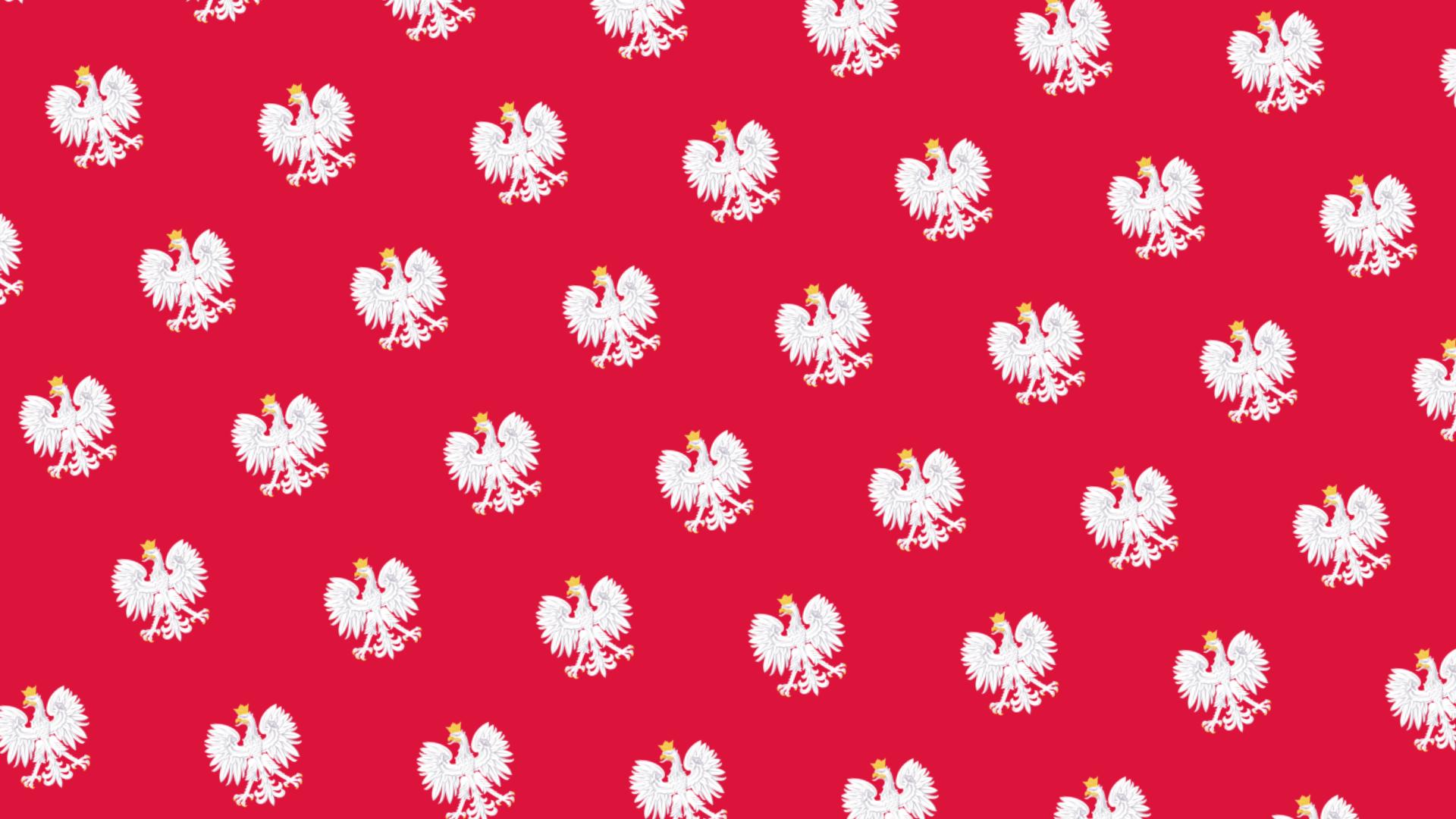 Discovery splash banner for Obywatele TAG „FAKE” Discord server