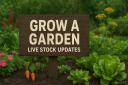 Discovery splash banner for Grow A Garden | 90K+ Discord server