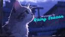 Discovery splash banner for Rainy Season • Social Lounge Discord server