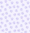 Discovery splash banner for wags🦴 Discord server