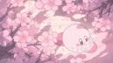 Discovery splash banner for ˚₊☆ akro﹒social 'xo 🌸  ˃ᴗ˂ Discord server