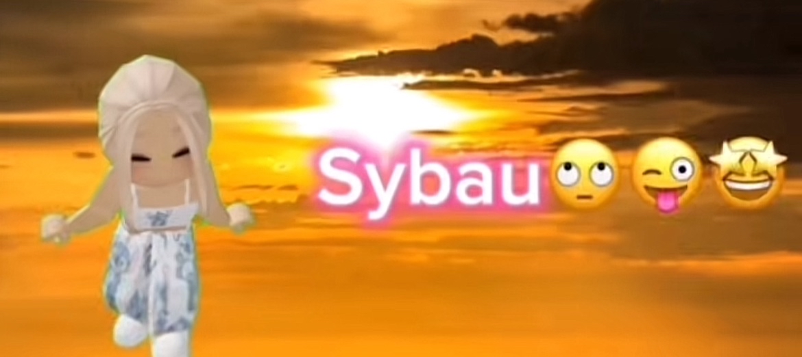 Discovery splash banner for niszowa spolecznosc misiakuw sigmy πΏπ§Έ Discord server