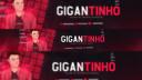 Discovery splash banner for Gigantinho Community Discord server