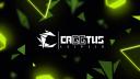 Discovery splash banner for CAGGTUS Discord server