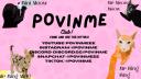 Discovery splash banner for POVINME club! Discord server
