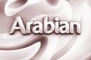Discovery splash banner for Arabian Customs | AC Discord server