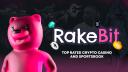 Discovery splash banner for Rakebit Discord server