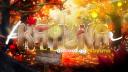 Discovery splash banner for Kayuna 🥢 Discord server