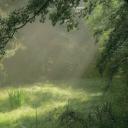 Discovery splash banner for / ꪑochi Discord server