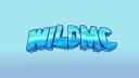 Discovery splash banner for WildMC | Network Discord server