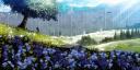 Discovery splash banner for Yugenn 🏝# partenaires Discord server