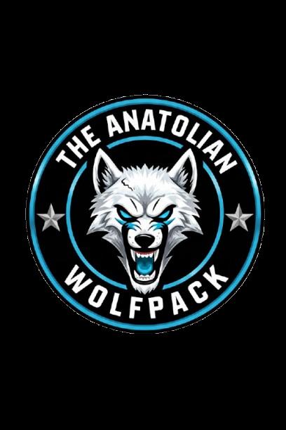 Discovery splash banner for The Anatolian WolfPack Discord server