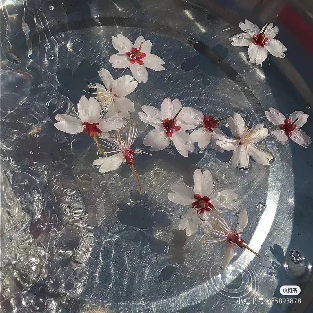 Discovery splash banner for Nescafe | Chatting・VC・Gaming・Memes・Hangout・Nitro・Giveaways・Anime・Emotes・Social ・Chill ・Egirls Discord server