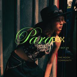 Discovery splash banner for PARADOX Discord server