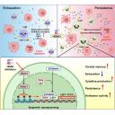 Discovery splash banner for BiochemCord Discord server