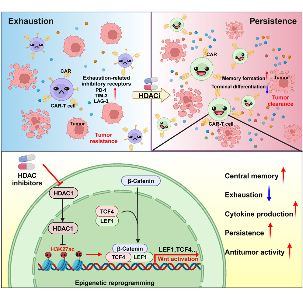 Discovery splash banner for BiochemCord Discord server
