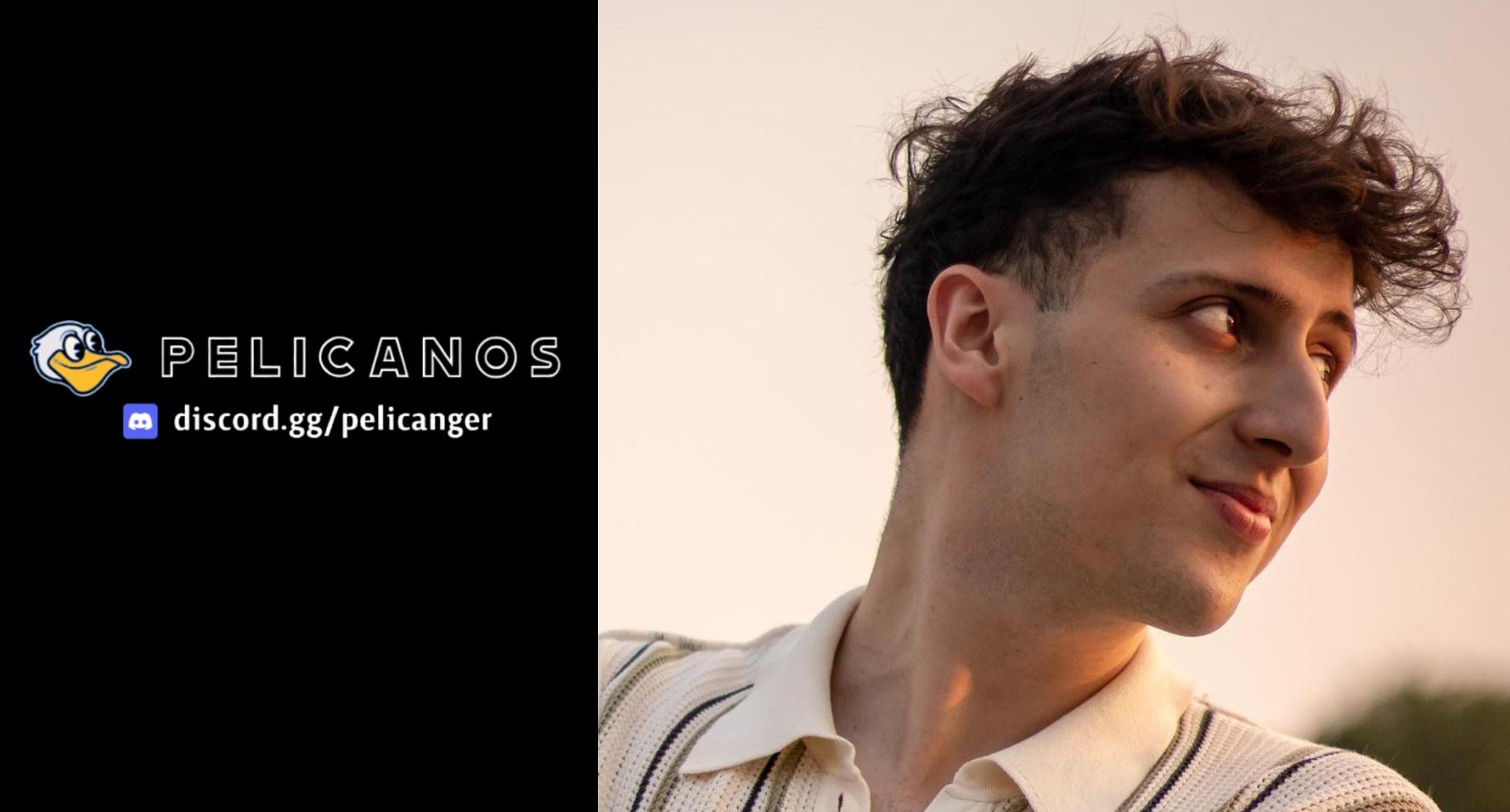 Discovery splash banner for Pelicanos丨Discord Oficial Discord server