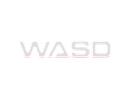 Discovery splash banner for WASD Discord server