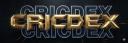 Discovery splash banner for Cricdex Discord server