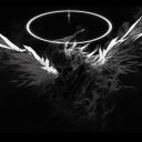 Discovery splash banner for VOID Gen #COMEBACK?  (FREE MCFA & Daily Drops) Discord server