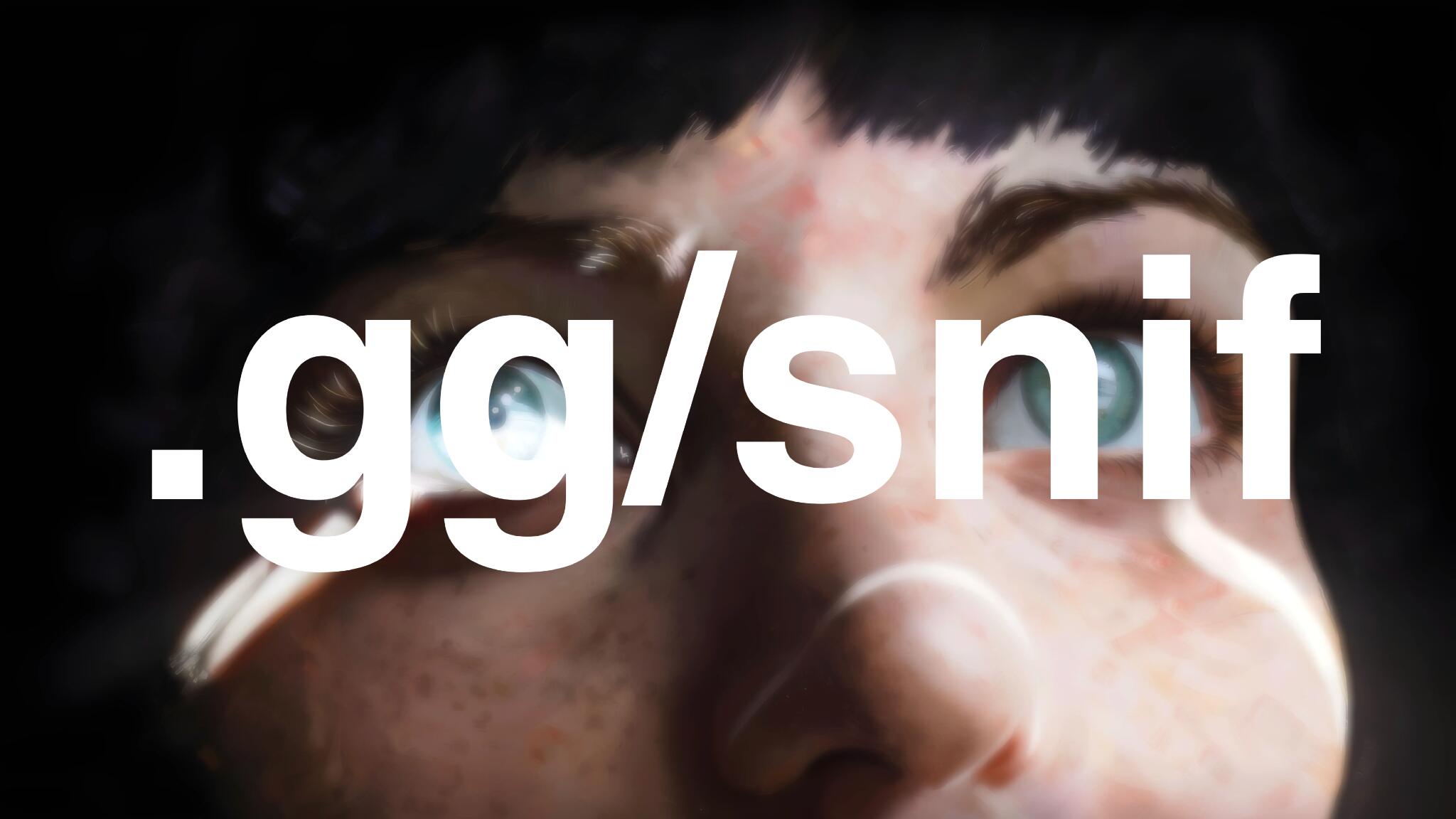 Discovery splash banner for snif Discord server