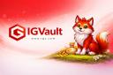 Discovery splash banner for iGVault Discord server