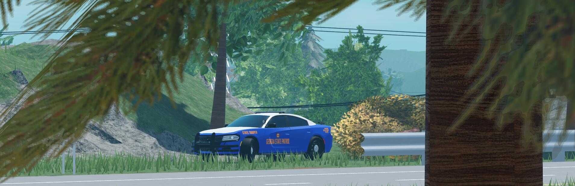 Discovery splash banner for Georgia State Roleplay Discord server