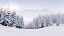 Discovery splash banner for ◞♡ Winterie・egirls・sfw・chill・friends・vc・social・nondating・gaming・anime Discord server