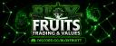 Discovery splash banner for Blox Fruits | Trading & Values Discord server