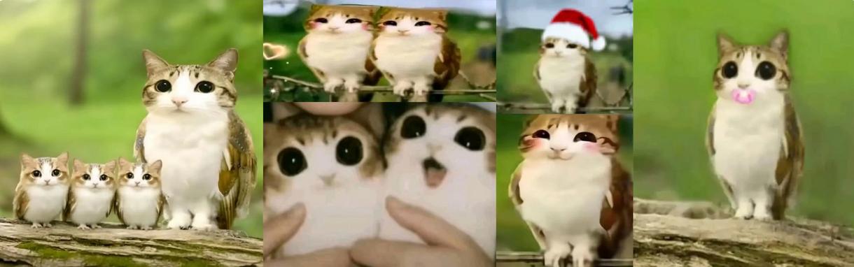 Discovery splash banner for SAB: Trading, Giveaways Discord server