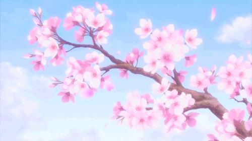 Discovery splash banner for Garden of Grace Discord server