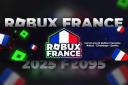 Discovery splash banner for Robux France™ | Cheapest Robux Roblox Limiteds Discord server